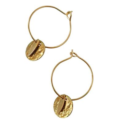 Pampa Hoop Earrings in Stainless Steel and Golden Brass
