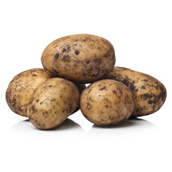 Pommes de terre nouvelles Viterbesi [UE uniquement]