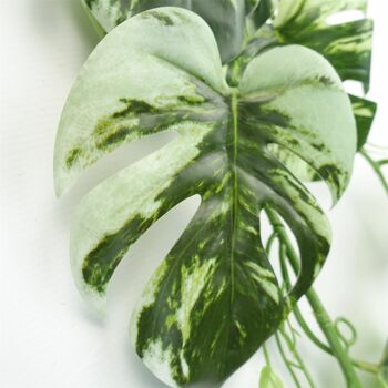 Plante Monstera panachée suspendue artificielle de 180 cm, réaliste 3
