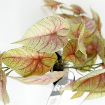 Plante rampante de caladium rose artificiel de 30 cm 3