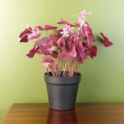 Pianta artificiale da 30 cm, fiori rosa trifoglio viola