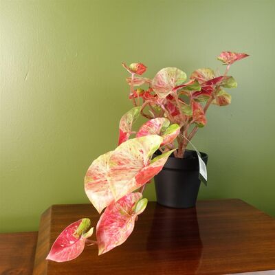 Planta colgante artificial de 35 cm, caladio rosa realista con salpicaduras