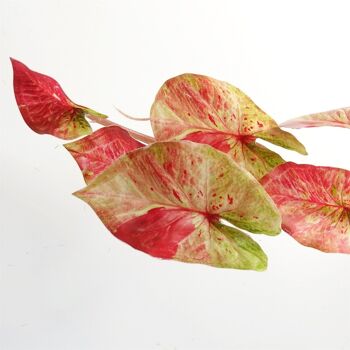 Plante suspendue artificielle de 35cm, Caladium rose réaliste 4