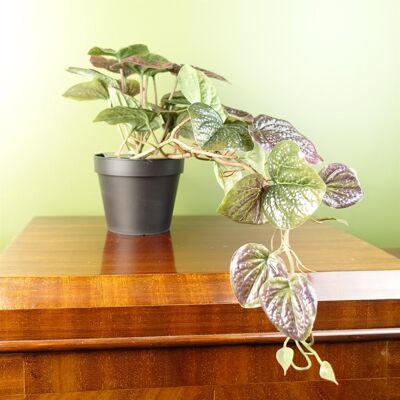 Plante de pothos violette artificielle de 35 cm