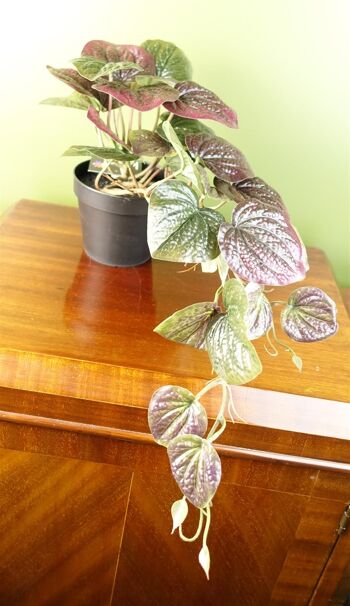 Plante de pothos violette artificielle de 35 cm 2