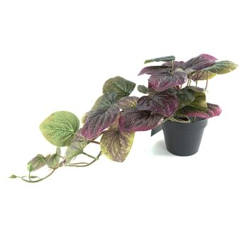 Plante de pothos violette artificielle de 35 cm 3