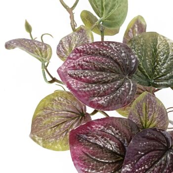 Plante de pothos violette artificielle de 35 cm 4