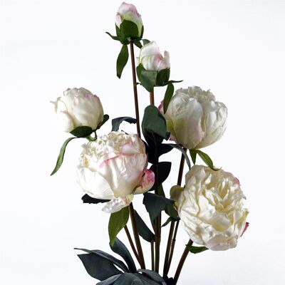 6 flores artificiales de peonía color crema.
