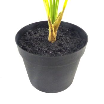 Plante de bonsaï artificielle Areca 50 cm UK Plants 3