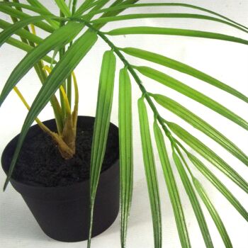 Plante de bonsaï artificielle Areca 50 cm UK Plants 5