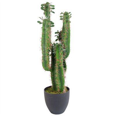 Künstliche Kakteen, Kaktuspflanze, 75 cm, tropische Pflanzen