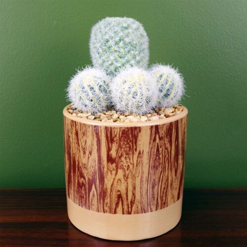 Artificial Cactus Arrangement in Ceramic Planter 20cm