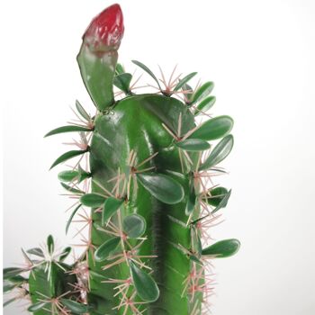 Plante de cactus artificielle en pot noir, plantes de 110 cm 2