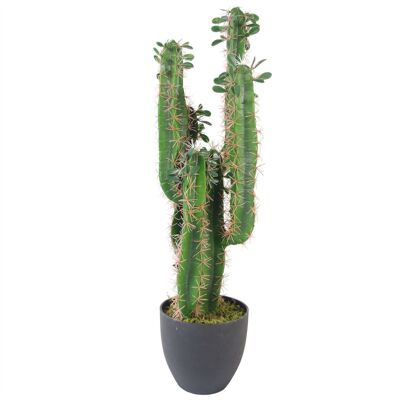 Piante di cactus artificiali in vaso nero da 65 cm