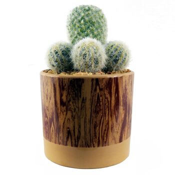 Cactus artificiel dans un pot en céramique 1
