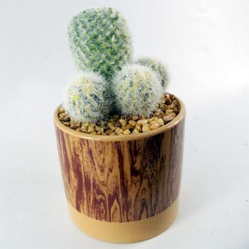 Cactus artificiel dans un pot en céramique 3