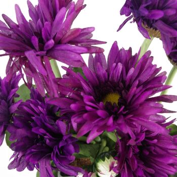 Plante de marguerite artificielle, fleurs, plante violette 2
