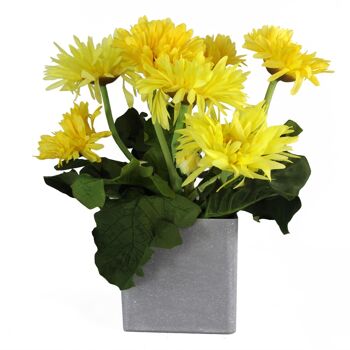 Plante de marguerite artificielle, fleurs, plante jaune 1