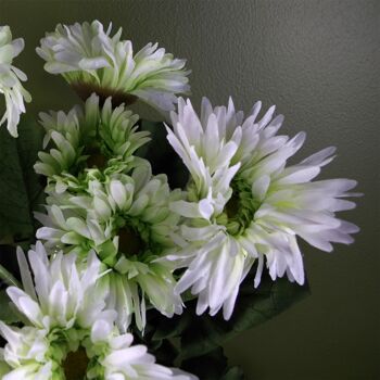 Plante de marguerite artificielle blanche 3