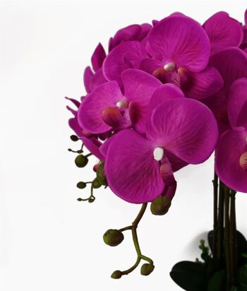 Orchidée Artificielle Deluxe XL Rose Foncé 4