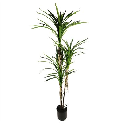Plante Dracaena artificielle – ÉNORME 180 cm 6 pieds