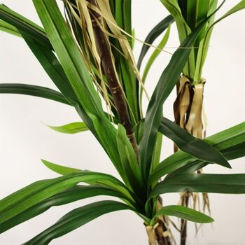 Plante Dracaena artificielle – ÉNORME 180 cm 6 pieds 2