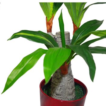 Plante Dracaena artificielle 75 cm Plantes tropicales 2