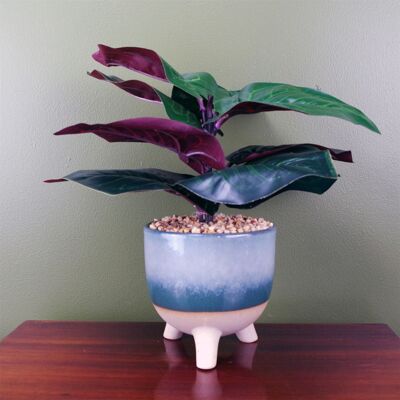 Künstliche Ficus-Pflanze, blaugrün, blaugrün, Keramik-Pflanzgefäß, 35 cm