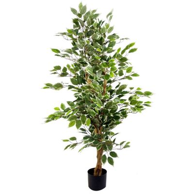 Ficus artificiel, plante de 130cm, tronc d'arbres blancs