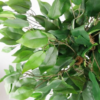 Ficus artificiel, plante touffue, 90cm, feuille de plantes 2