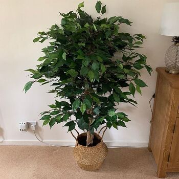 Ficus artificiel, plante verte touffue, 90cm 3