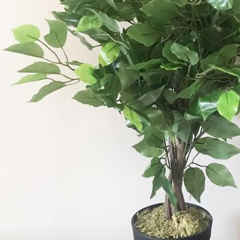 Ficus artificiel, plante verte, Mini Ficus touffu, 60cm 2
