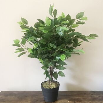 Ficus artificiel, plante verte, Mini Ficus touffu, 60cm 3