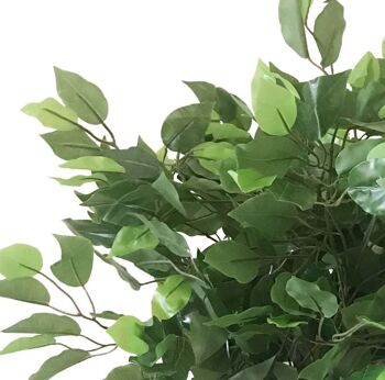 Ficus artificiel, plante verte, Mini Ficus touffu, 60cm 4