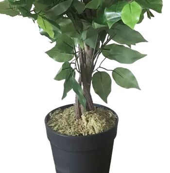 Ficus artificiel, plante verte, Mini Ficus touffu, 60cm 5