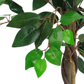 Ficus artificiel, plante verte torsadée, tronc de 110cm 2