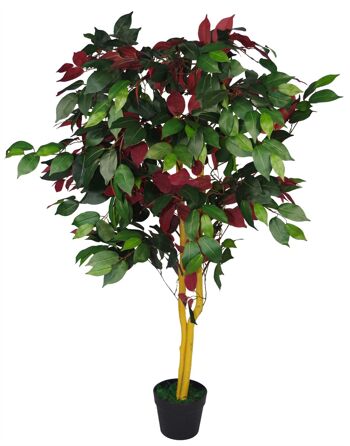 Ficus artificiel plante rouge vert Capensia 120cm plantes 5