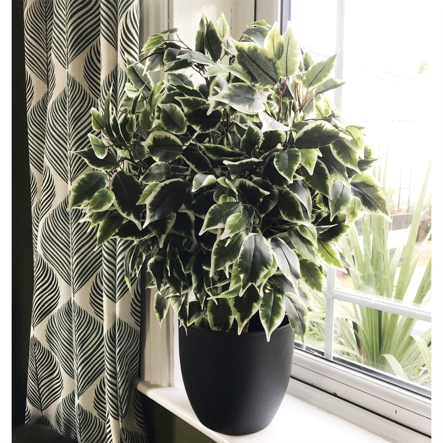 Plante artificielle de ficus panachée prête à être exposée