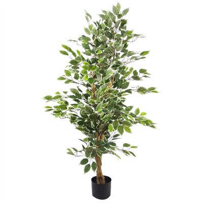 Plante artificielle d'arbre de Ficus, bord blanc, feuille de plantes touffue de 130cm