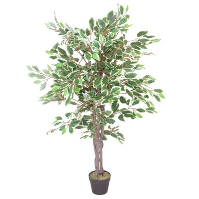 Plante artificielle d'arbre de Ficus, bord blanc torsadé, plantes de 130cm