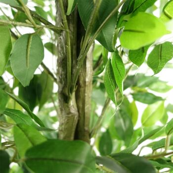 Ficus artificiel réaliste – ÉNORME 180 cm 6 pieds 4