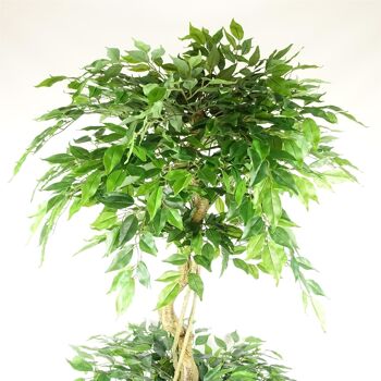 Ficus artificiel à triple boule, 6 pieds 2