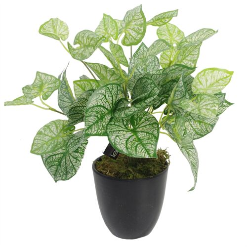 Artificial Foliage Plant Pot 40cm Caladium Plants