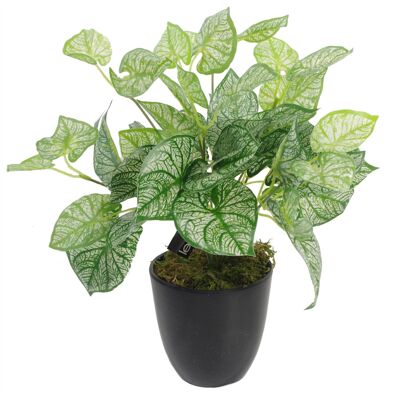 Vaso per piante con fogliame artificiale, 40 cm, piante di Caladium