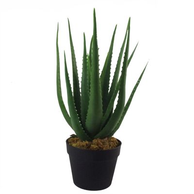 Maceta de follaje artificial, 55 cm, aloe vera, suculenta puntiaguda