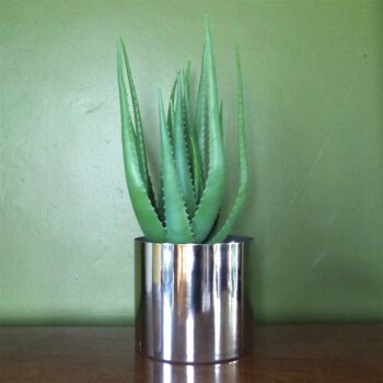Plante à Feuillage Artificiel Pot 55cm Aloe Vera Spiky Succulent 2