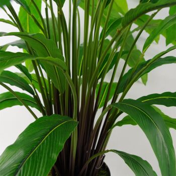 Plante à Feuillage Artificiel Pot Vert 60cm Calathea Artificielle 2