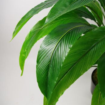 Plante à Feuillage Artificiel Pot Vert 60cm Calathea Artificielle 4