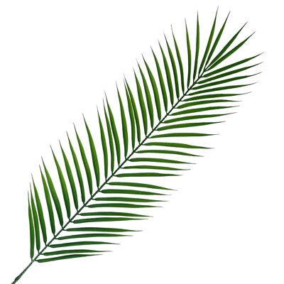 Artificial Foliage Realistic Palm Leaf 100cm