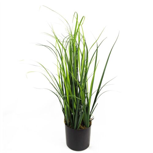 Artificial Grass Plant Foliage Lemongrass Plant 60cm Plants